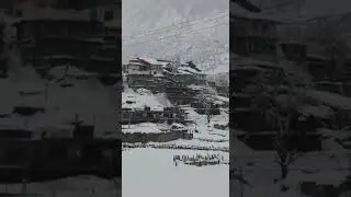thal bazar 2.2024