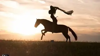 ~ The Horse ~
