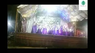 Kalli Video