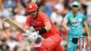 Finch flies to end Renegades season on a high