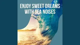 Best Relax with Sounds of Beach and Sea in the Night