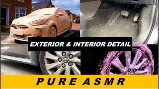 Pure ASMR detailing on a Windy Day - Auto Detailing #asmr #autodetailing