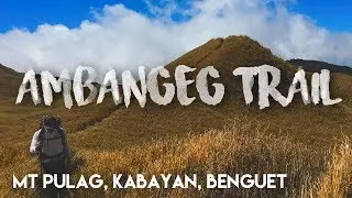 Hiking Ambangeg Trail of Mount Pulag | Travel Vlog