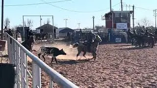 TRR Tuff It Out Bowie, Tx Livestock February 7, 2026