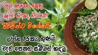 පිරිමින්ට විශේෂ වැල් පෙනෙල සලාද .,baloon wine salad