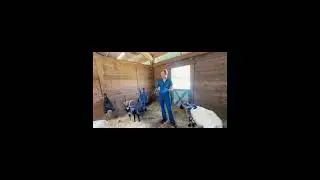 Geriatric goat herd management