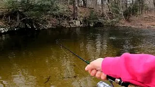 HAPPY NEW YEAR FISHING - Spinning Largemouth Bass * Pickerel * Brown Trout