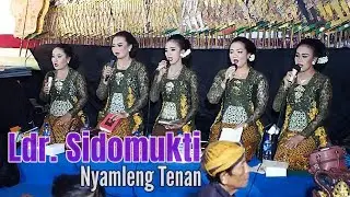 Ladrang Sidomulyo Pl.6 Uyon-uyon Nyamleng // Ki MPP Bayu Aji, Nglaras Mat-matan.
