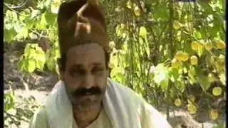 مشمش بلدنا العمار