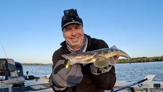 PTP Fishing - UNBOXED Noike Soft Plastics - Things didn't go to plan