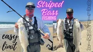 Surf Fishing in California | Striped Bass fishing hooked up 22, 24 and 29 inches STRIPED BASS