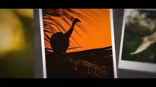 Golden hour | Part 1 | Nature and wildlife photography - Delwin Samuel.