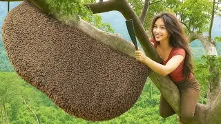 Bees Keep Attacking, But the Honey Hunter Refuses to Back Down