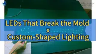 Unique Form LED Lights  Dual Arm SMT Placement