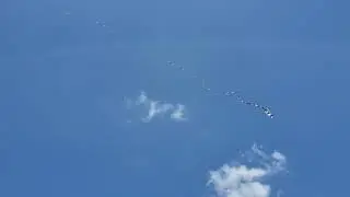 Soaring kite waves 1