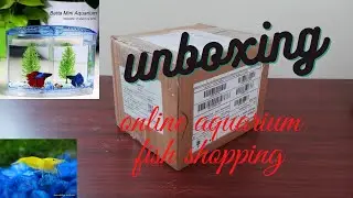UNBOXING online aquarium fish !!!! buying of living fish and some aquarium accessories
