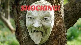 Culture SHOCK! #question #mystery #answer #culture #people