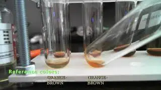 Sustanon 250 British Dragon Pharmaceuticals (Product analysis)