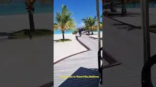 Buggy ride to WaterVilla,#maldives,#maldivesresorts,#maldivesbeach,#watervilla,#buggyride