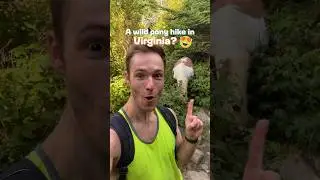 Amazing Places: Hike With Wild Ponies!
