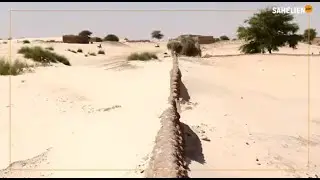 Mali / Bintagoungou : l'histoire d'une lutte au quotidien contre l'ensablement