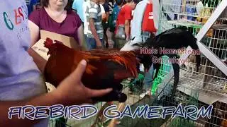 World Gamefowl Expo 2020 FIREBIRD GAMEFARM -  DART GAMEFARM  -   GSP CLAVERIA GAMEFARM