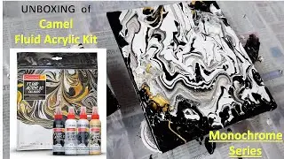 Unboxing of camel Fluid Acrylic Kit/ Full Tutorial/ Fluid Art