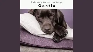Dogs Advanced Chill Sounds for Deep Dog REM Phase