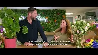 Mr Plant Geek & FloraLife - FloraLife&reg; LeafShine Silicone Free - EU