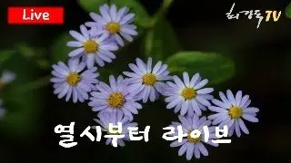 [열시부터 라이브] 검찰개혁에 관한 여러 논란, 최종정리가 필요합니다.