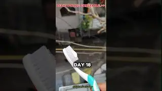 Delhi Police Prep Vlog | Day 18 | Let&rsquo;s Do This 💥#viral #trending #shortsfeed