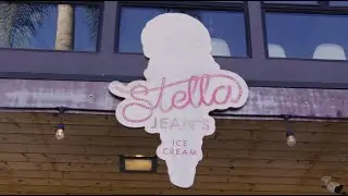Saint Archer Brewery x Stella Jean's Ice Cream - POG Sour IPA