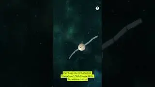 Blotting_Techniques Which_Detects_What I #shortsvideo