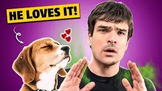 Your dog wants you to be a stinky mess!