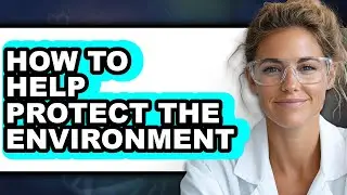 How to Help Protect the Environment (full Guide)