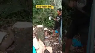 cara potong kayu pakai kapak di Lombok 😂#lombok #shorts #viral #kapak #kayu