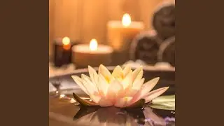 Lotus Warm Air