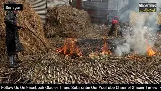 Kashmiri women prepare fish for the smoking process on the outskirts of Srinagar