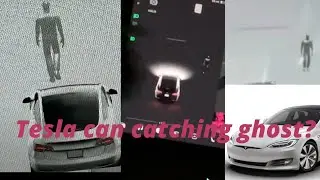 Tiktok tesla ghost detector 2021