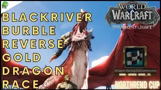 WoW Dragonflight Blackriver Burble Reverse Gold Dragonriding Race