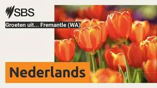 Groeten uit... Fremantle (WA) | SBS Dutch - SBS Nederlands