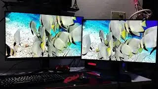 Lg 32gb850 Vs Asus vg279qm Comparison