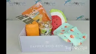 The Dapper Dog Box Subscription Box Review