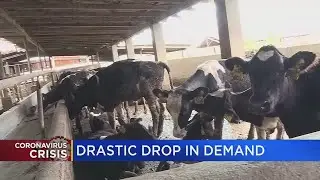 Farmers say there's ample supply of meat in Michigan