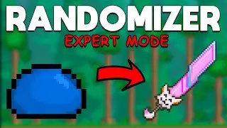 Terraria Randomizer, but in Expert Mode