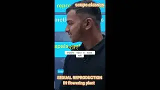 SEXUAL REPRODUCTION IN FLOWERING PLANTS #neet #femalereproductivesystem #biology