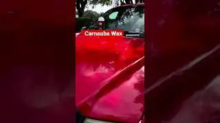 Carnauba Wax best way to protect, and bring back to life! #car #detailing #mobiledetailing @Jaxwax
