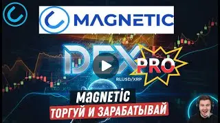 DEX Magnetic: глобальное обновление DEX PRO! Лучшая платформа на XRPL