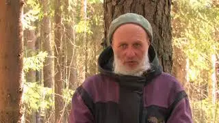 Адвайта йога