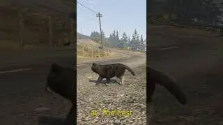 What Happens If You Eat This Peyote Plant In GTA 5.#shorts #shortsfeed #shortvideo #gta5 #gtav.